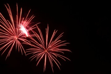 Fototapeta premium Fireworks. Beautiful display of colorful fireworks on a night sky background.Light abstract 
