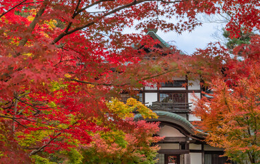 Foliage landscape in Kyoto temple, Japan.