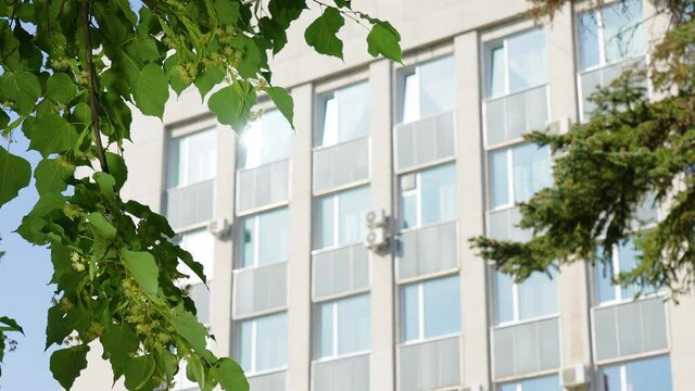 View at sunny white and grey facade of modern building with many windows, air conditioners attached to wall. Bright hot sunshine reflects in glass of one window, green branches of trees in foreground