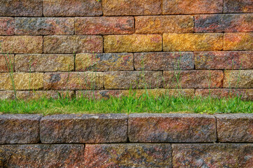 stone colored wall and green plants,background for various projects