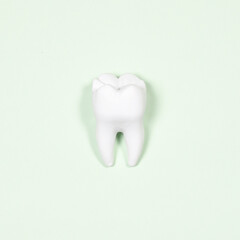 White tooth model on light green background. Flat lay closeup top view. Tooth health concept.
