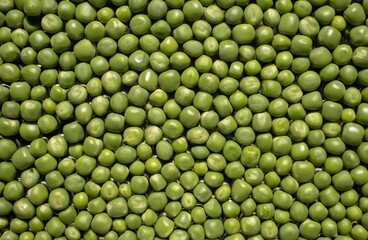 Fresh and Organic Green Pea Seed Background and Wallpaper in Horizontal Orientation
