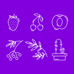 icons, fruits, plants and berries. Outline icons. One drawing style