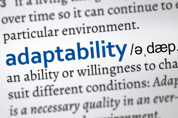 adaptability definition word. Zoom on the meaning