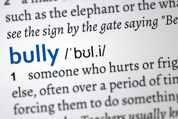 bully dictionary definition