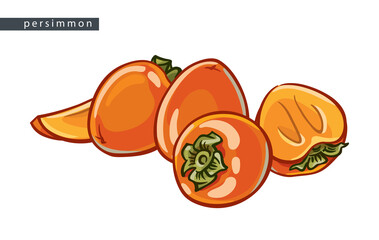 sketch_persimmon_three_fruits_slice_and_half