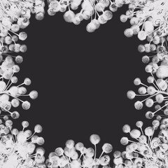Snow and branches. Berries on the branches. Square frame. Botanical background. Black and white frame.