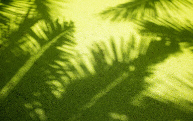 Layout shadow of colorful tropical palm leaves on green background. Summer exotic concept