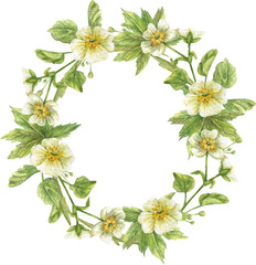 Floral wreath with yellow and white buttercups and green leaves and herbs. .Wildflowers hand-painted.
