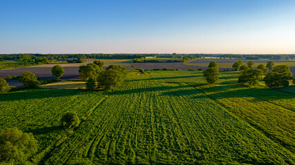 Fototapeta na wymiar Aerial view with a drone of a spring wavy agricultural countryside landscape with plowed and unplowed fields and trees in the blue evening sky. High quality photo