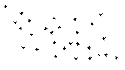 A flock of flying birds. Vector illustration