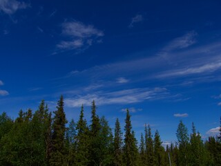 Lakeshore with trees and blue sky. Beautiful nature in the North of Sweden.