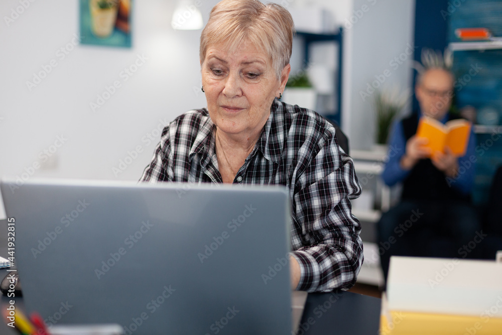 Poster senior lady entrepreneur working and pointing at computer screen while browsing on internet. elderly