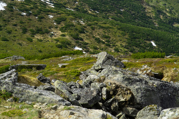 Fototapeta na wymiar rocky mountain ledge, summer mountain 
