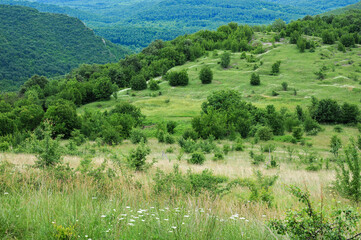 Fototapeta na wymiar View from the hill in May
