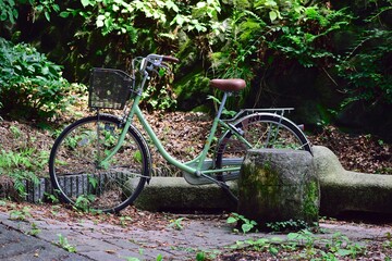 old bicycle in the garden
