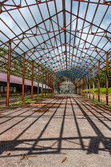 Fototapety na wymiar - Fototapeta24.pl