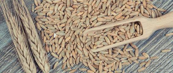 Heap and ears of rye grain on old rustic board. Agriculture