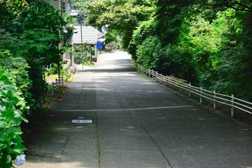 path in the park