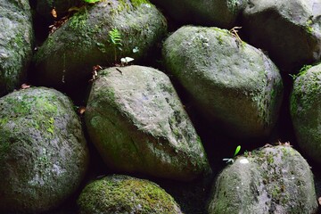 moss on the rocks