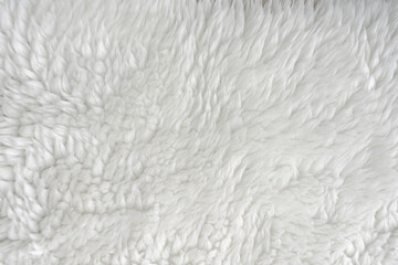 Obraz premium White, sheep wool, close-up, background, texture, surface