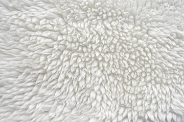Sheep wool, white, close-up, background, texture, surface