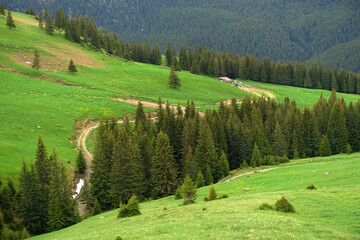 Beautiful mountain summer landscape of Parang Mountains in Romania
