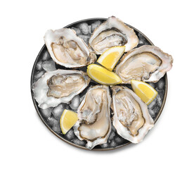 Fresh raw oysters served on white background, top view