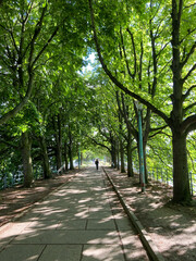 Promenade sur l'île aux cygnes à Paris