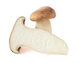 Fototapeta premium King Oyster mushroom on white background.