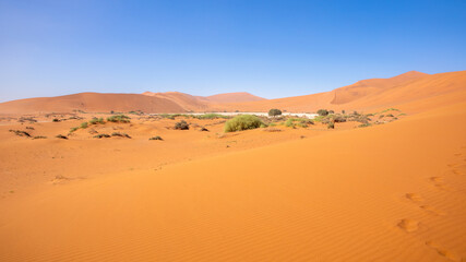 Fototapeta na wymiar Dunes and blue sky in Deadvlei, Sossusvlei. Namib-Naukluft National Park, Namibia.