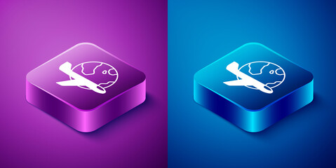 Isometric Globe with flying plane icon isolated on blue and purple background. Airplane fly around the planet earth. Aircraft world icon. Square button. Vector