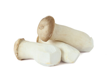 King Oyster mushroom on white background.
