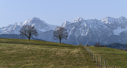 Frühjahr in den Allgäuer Alpen - Bäume in der Landschaft