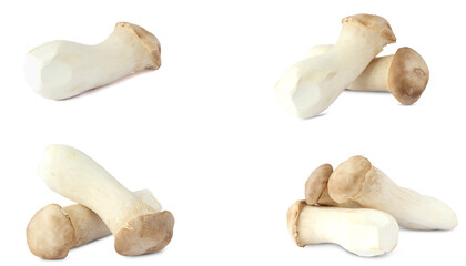 King Oyster mushroom on white background.