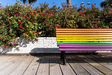 Image of half Rainbow colored bench with floral background in the city in Valencia, Spain