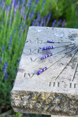 face of an old sundial with Roman numerals  - obrazy, fototapety, plakaty