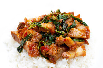 Spicy stir fried crispy pork and holy basil with rice