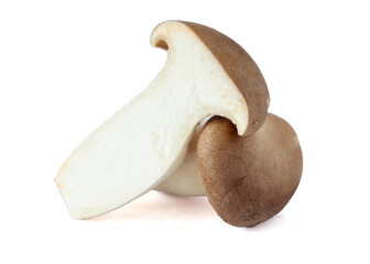 King Oyster mushroom on white background.