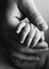 Father holding newborn baby's fingersnewborn . Hand of a newborn baby. Hands of parents and baby closeup. Black and white photo. 