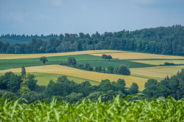 Fototapeta na wymiar Ackerbau in hügelliger Landschaft