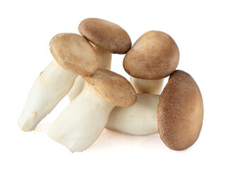 King Oyster mushroom on white background.