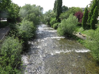 Dreisam - Fluss in Freiburg im Breisgau