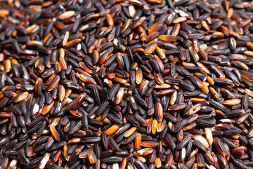 Raw black sticky rice background.