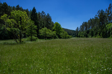 Wonderful landscape in the Lampert valley in Blankenheim