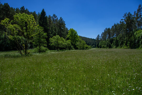 Wonderful landscape in the Lampert valley in Blankenheim