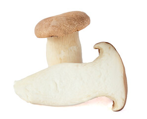 King Oyster mushroom on white background.