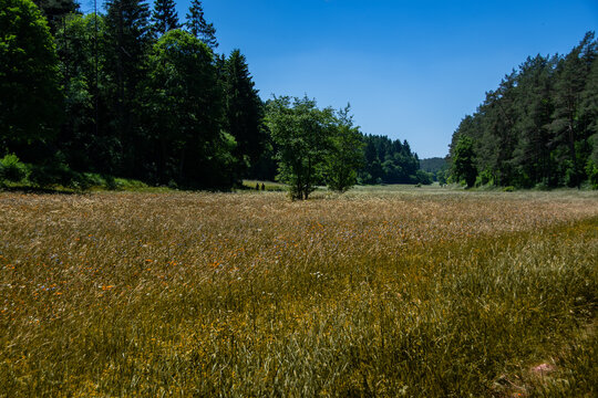 Wonderful landscape in the Lampert valley in Blankenheim