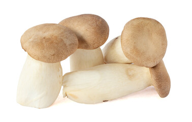 King Oyster mushroom on white background.