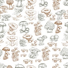mushrooms vector graphics hand drawn. Print textile illustration background set patern seamless, coloring engraving vintage retro collection forest nature food